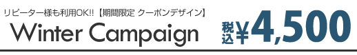 冬のキャンペーンネイルデザイン2019