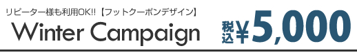 冬のキャンペーンネイルデザイン2019